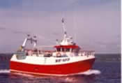 Ashlon BF 103