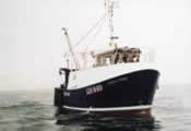 Golden Shore   LH 540