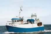 Golden West II  FR 363