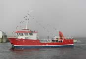 Analie 13.60m Catamaran Workboat