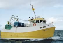 Staronia II
