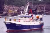 Buddy M  C 333