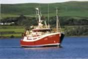 Fiona K II   T 117