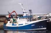 Glor Na Dtonn  G 454