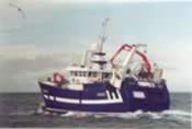 Sharon Rose  LH 317