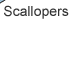 Scallopers
