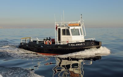 10.10m Tug Workboat – T.Palamar 1-5