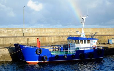 14.95m Aquaculture Landing Craft – Warness Lass