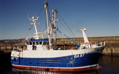 21.30m Fishing Scalloper – King Challenger BA87