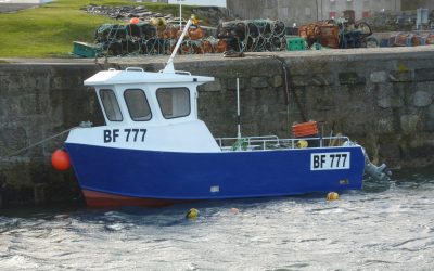 6.00m Workboat – Workboat Al